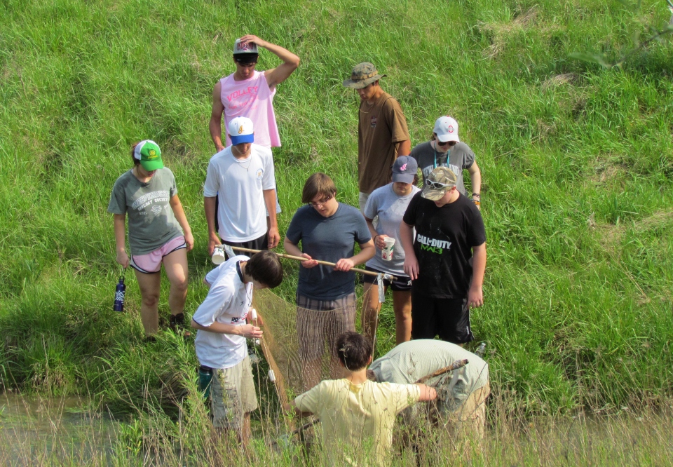 Freshwater Field Study